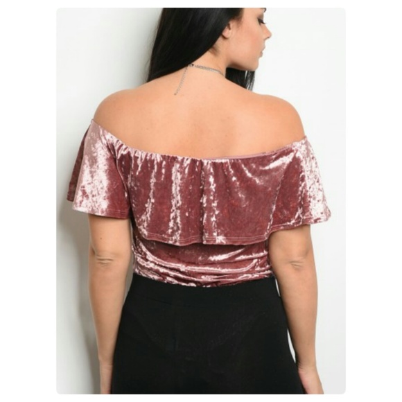 PLUS SIZE MAUVE VELVET BODY SUIT!🍁 - Picture 2 of 5